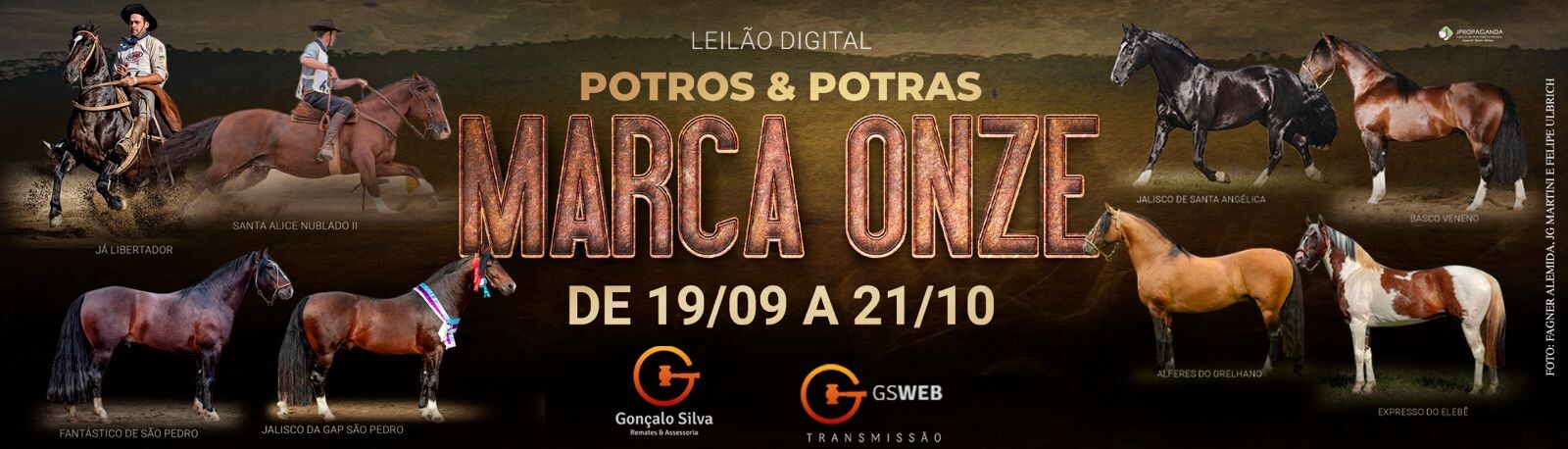 MARCA ONZE - POTROS E POTRAS 