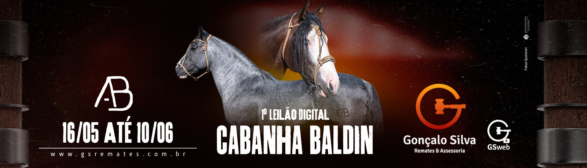 1º LEILÃO DIGITAL CABANHA BALDIN
