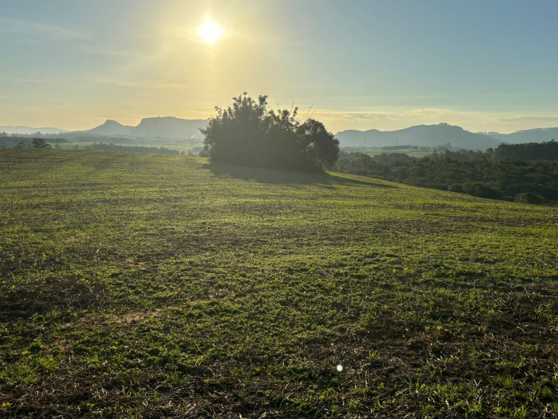 140 Hectares em Glorinha/Rs