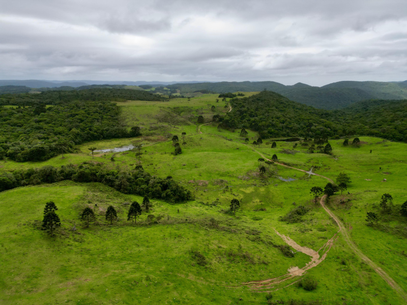 Fazenda de 445 Hectares em Riozinho