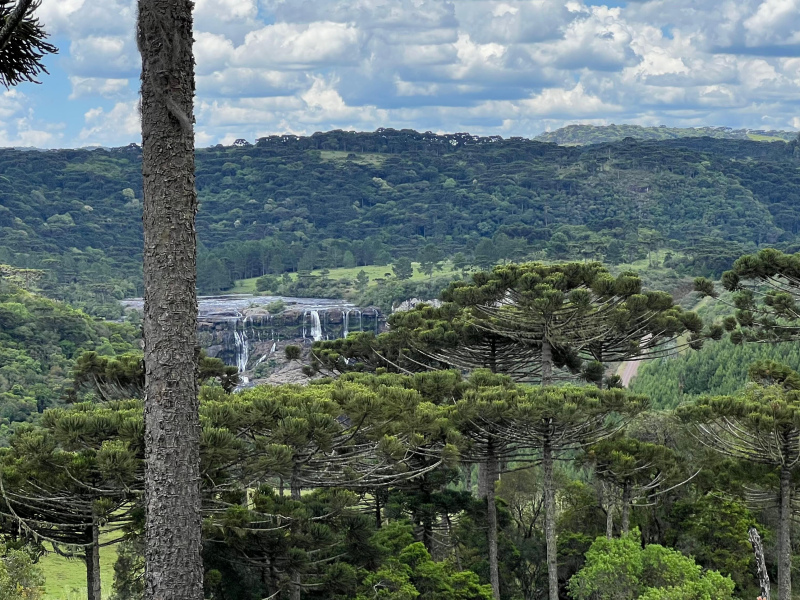 Área de 306 Hectares em Cazuza Ferreira