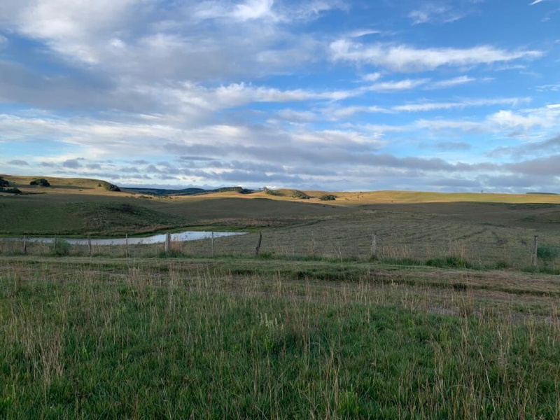 Fazenda com 910 Hectares em Jaquirana