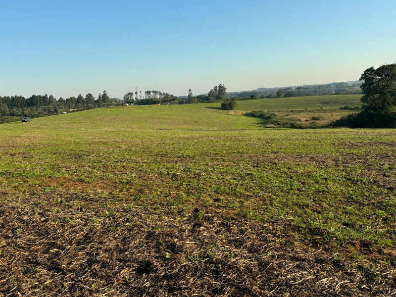 600 Hectares em Pinheiro Machado/Rs