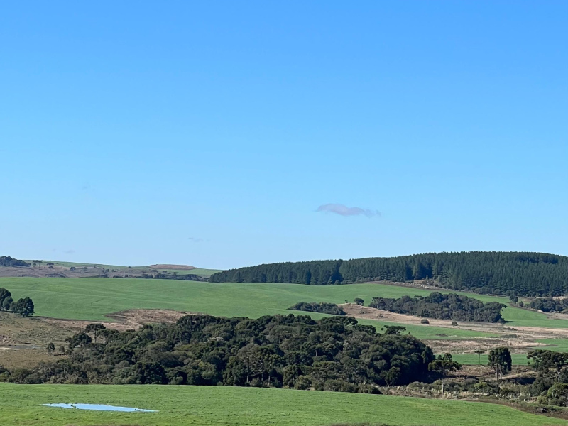 Fazenda com 1.590 Hectares em Santa Catarina