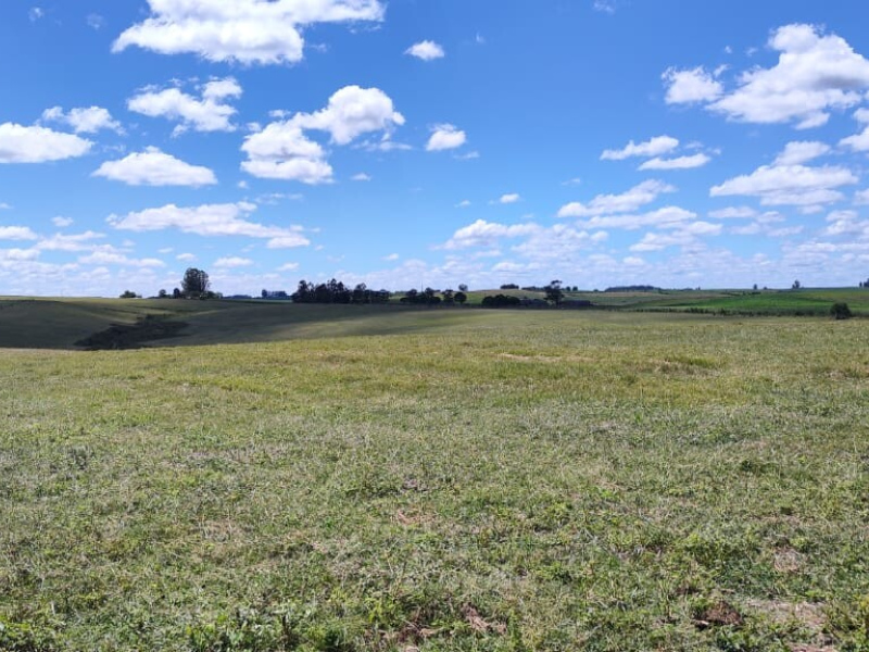 320 Hectares em Aceguá/Rs