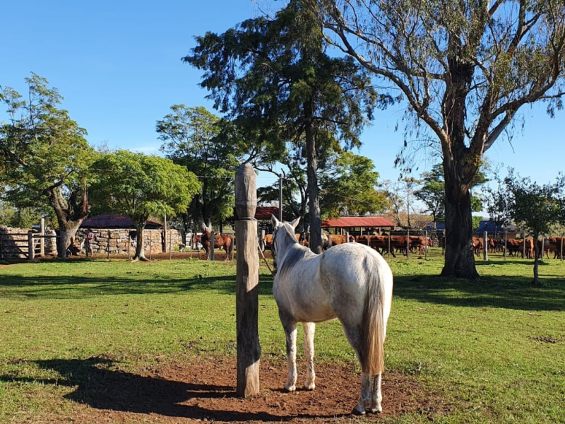 Fazenda com 759 Hectares em Rosário do Sul