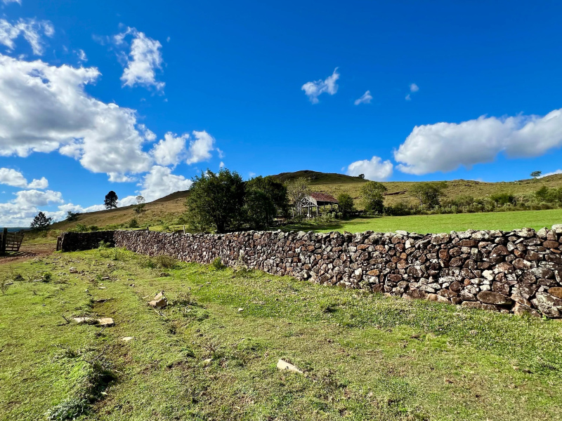 Fazenda com 277 Hectares em São Francisco de Paula