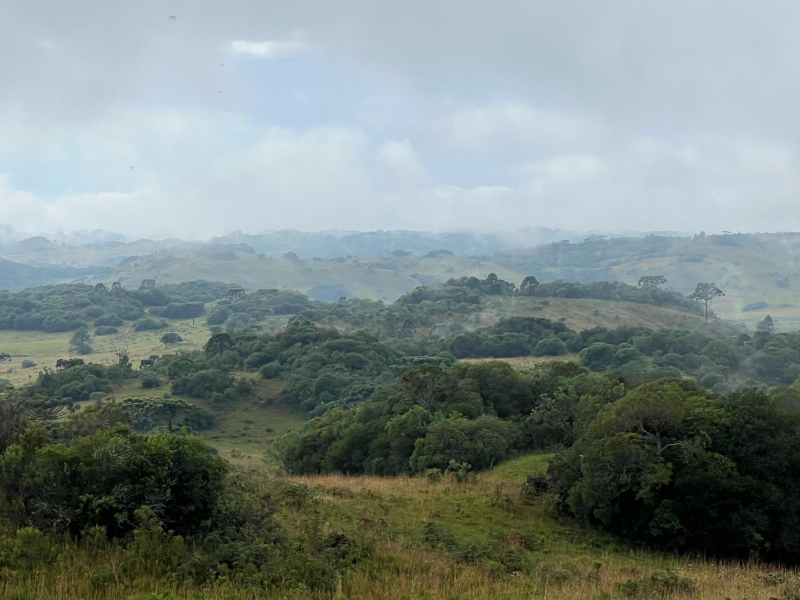 Fazenda com 400 Hectares em Caxias do Sul
