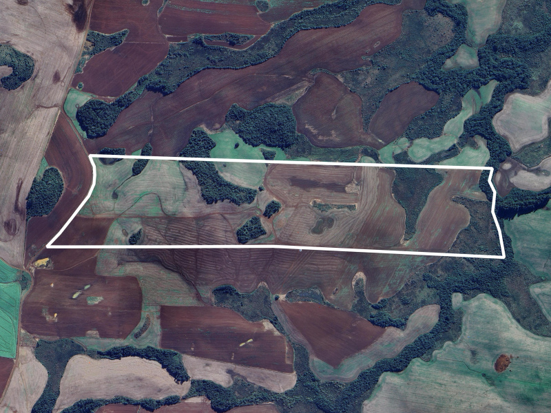 103 Hectares em Muitos Capões