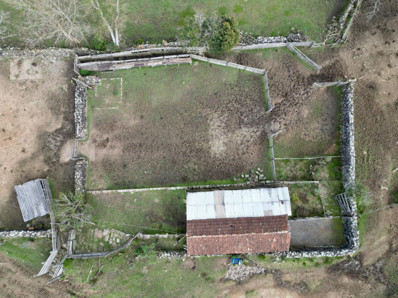 Fazenda com 223 Hectares em São Francisco de Paula