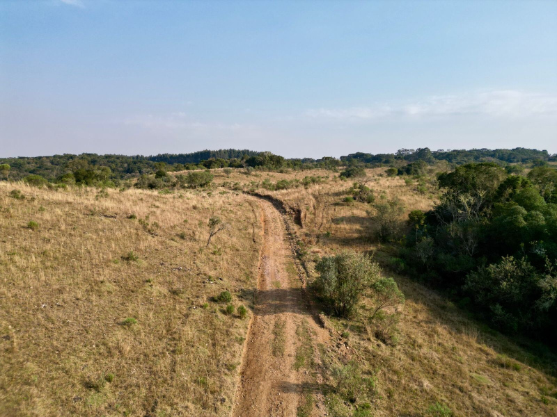 Área de 450 Hectares em Jaquirana