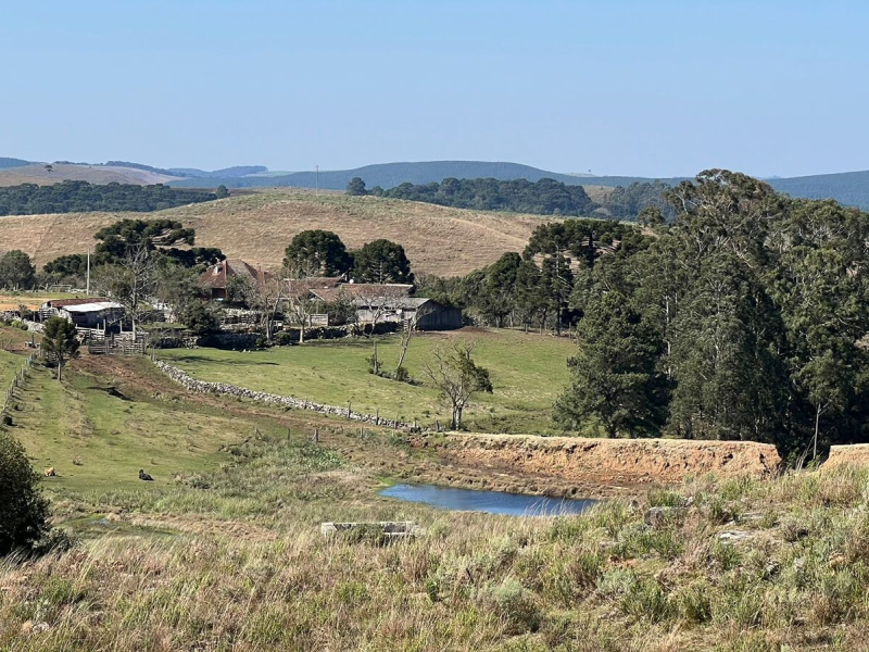 Fazenda com 223 Hectares em São Francisco de Paula