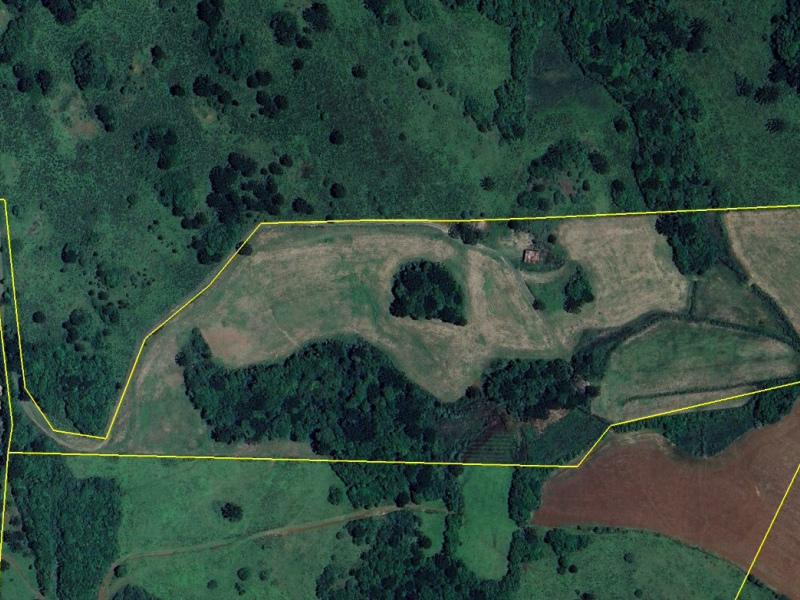 Área com 15,5 Hectares em Vacaria