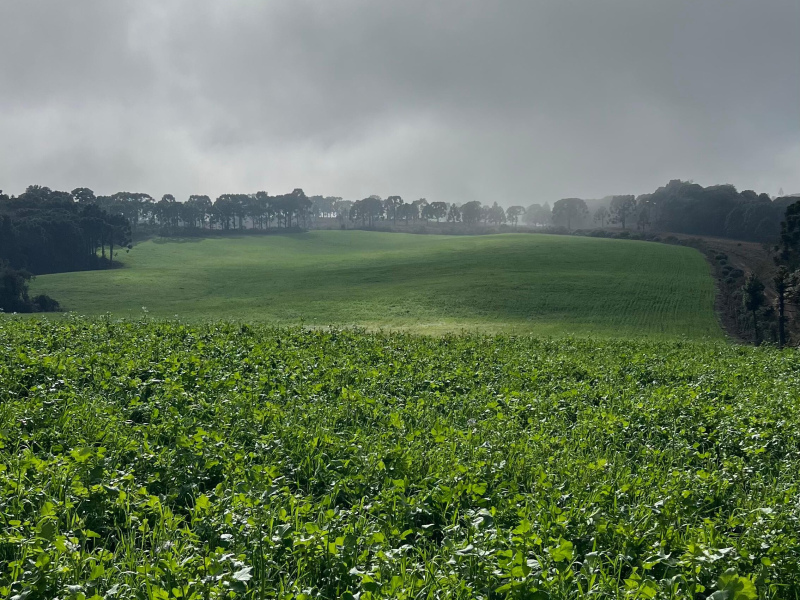 Fazenda com 1.590 Hectares em Santa Catarina