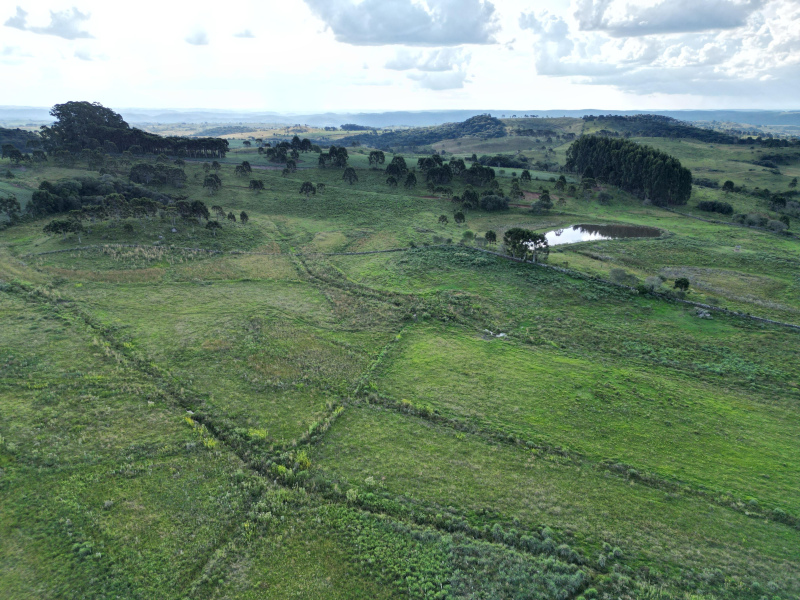 Fazenda com 1.590 Hectares em Santa Catarina