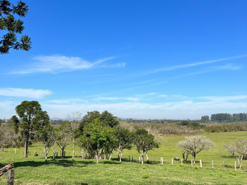 Sítio com 42 Hectares em Campo Bom