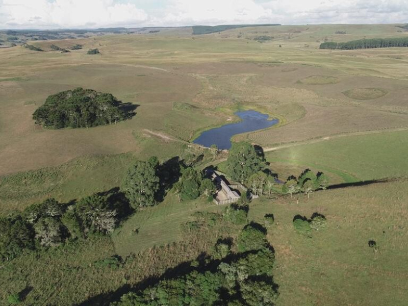 Fazenda com 910 Hectares em Jaquirana