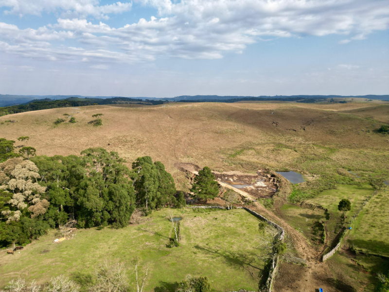 Fazenda com 223 Hectares em São Francisco de Paula