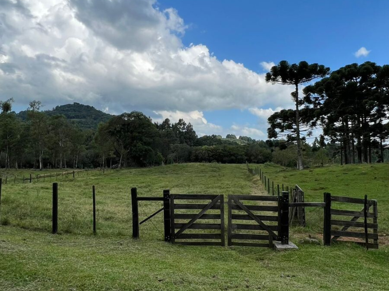 Chácara com 04 Hectares em Gramado