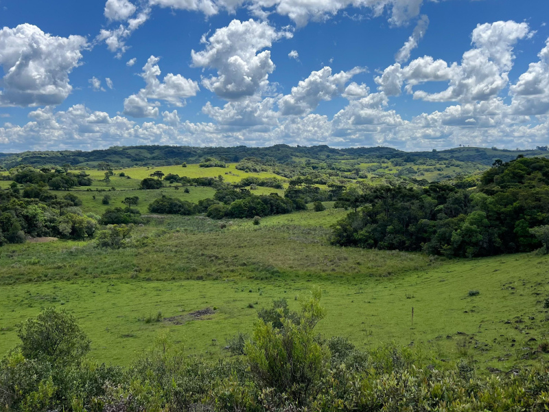 Área de 306 Hectares em Cazuza Ferreira