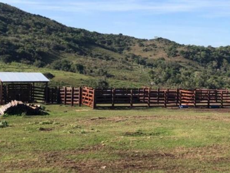 Fazenda com 715 Hectares em Santana do Livramento