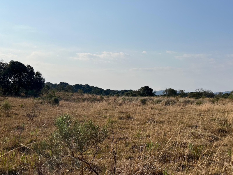 Área de 450 Hectares em Jaquirana