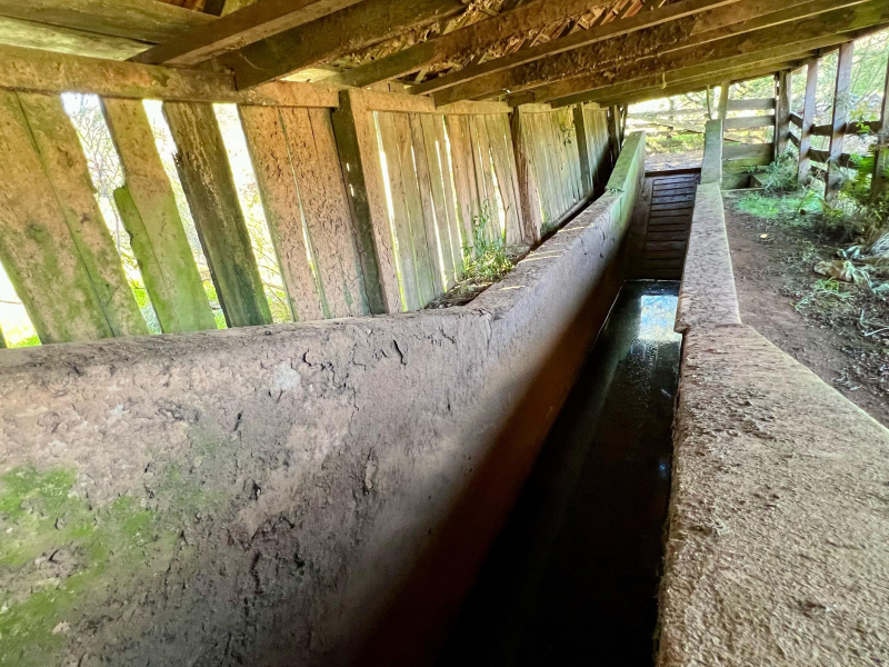 Fazenda com 277 Hectares em São Francisco de Paula