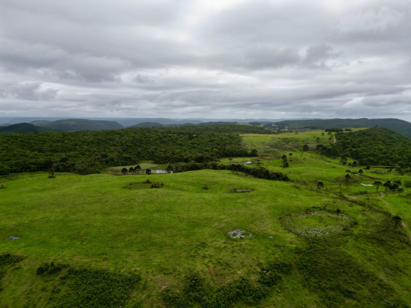 Fazenda de 445 Hectares em Riozinho