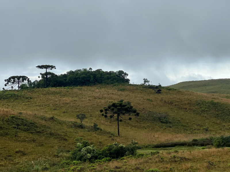 Fazenda com 400 Hectares em Caxias do Sul