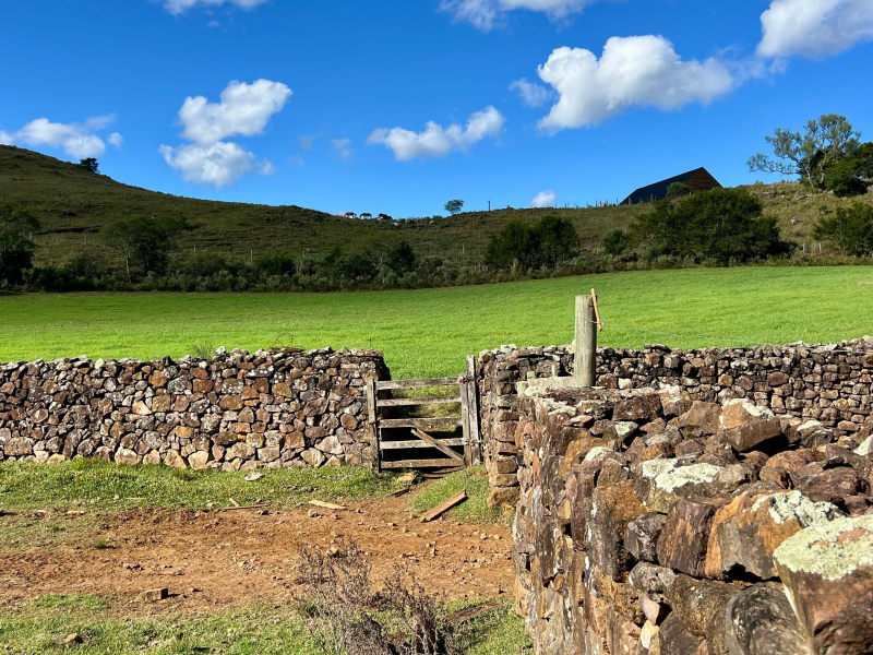 Fazenda com 277 Hectares em São Francisco de Paula