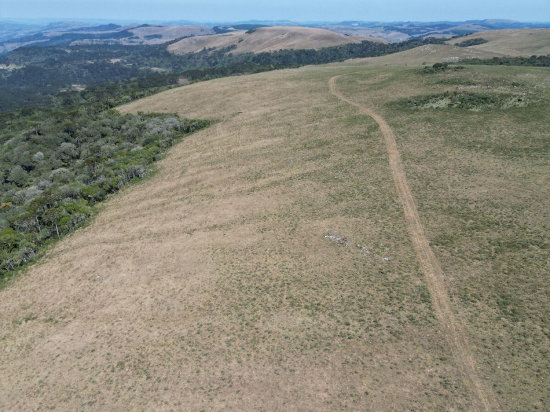 282 Hectares em Bom Jardim da Serra/SC