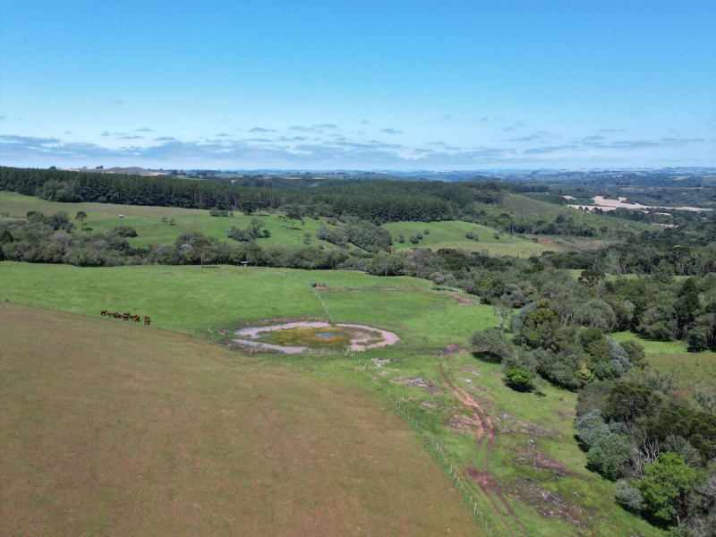 Cabanha com 61 Hectares em Muitos Capões
