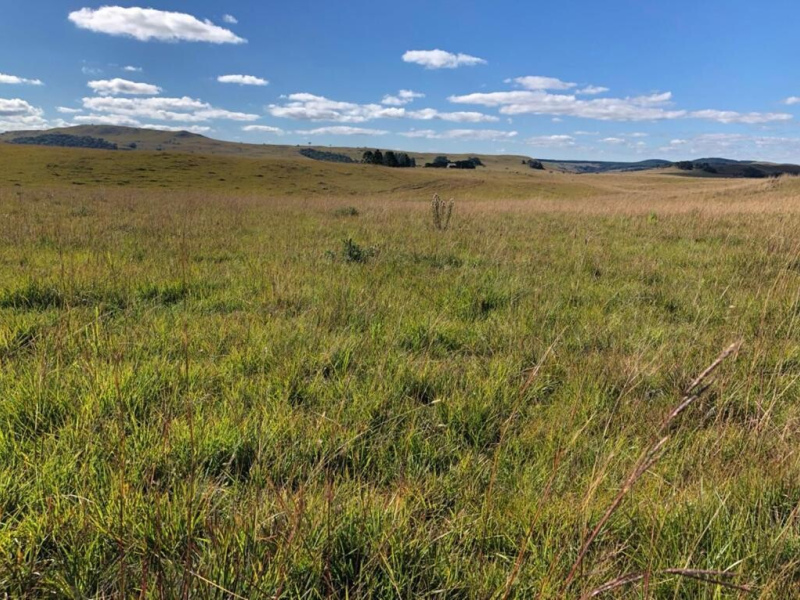 Fazenda com 910 Hectares em Jaquirana