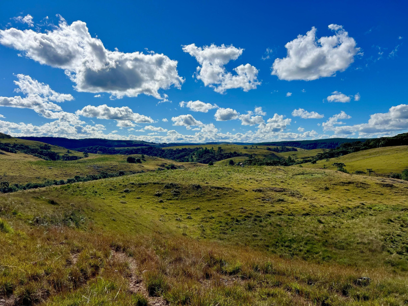 Fazenda com 277 Hectares em São Francisco de Paula