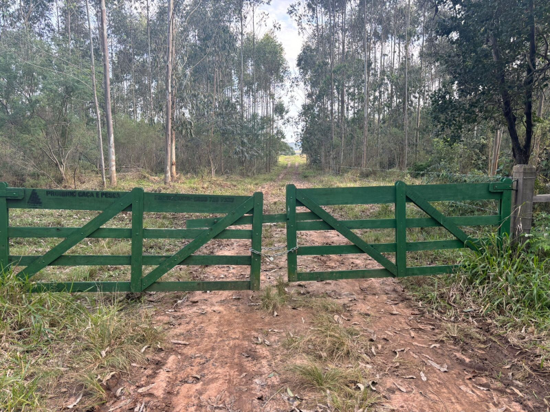 56,33 Hectares na Barra do Ribeiro/Rs