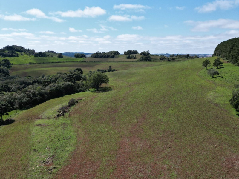 Cabanha com 61 Hectares em Muitos Capões