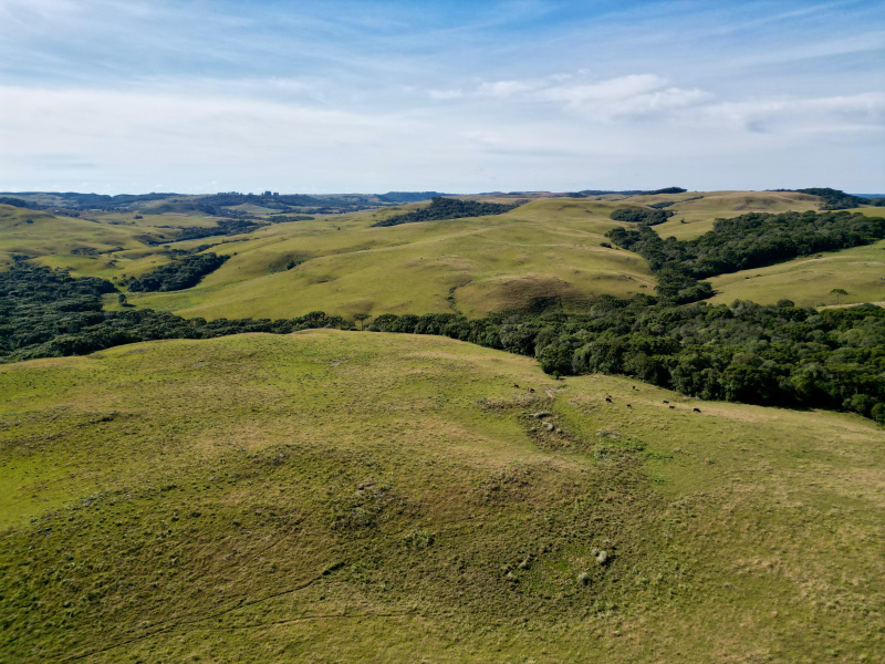 Fazenda com 425 Hectares em Caxias do Sul