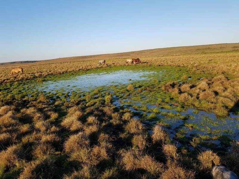 Fazenda com 759 Hectares em Rosário do Sul