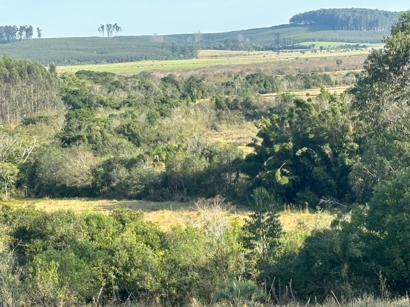 56,33 Hectares na Barra do Ribeiro/Rs