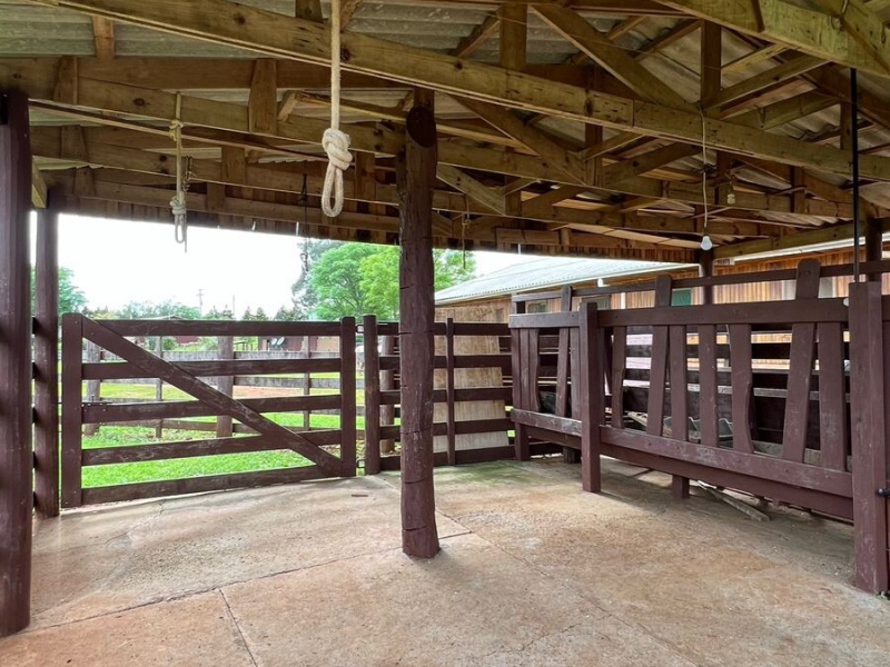 Cabanha com 61 Hectares em Muitos Capões