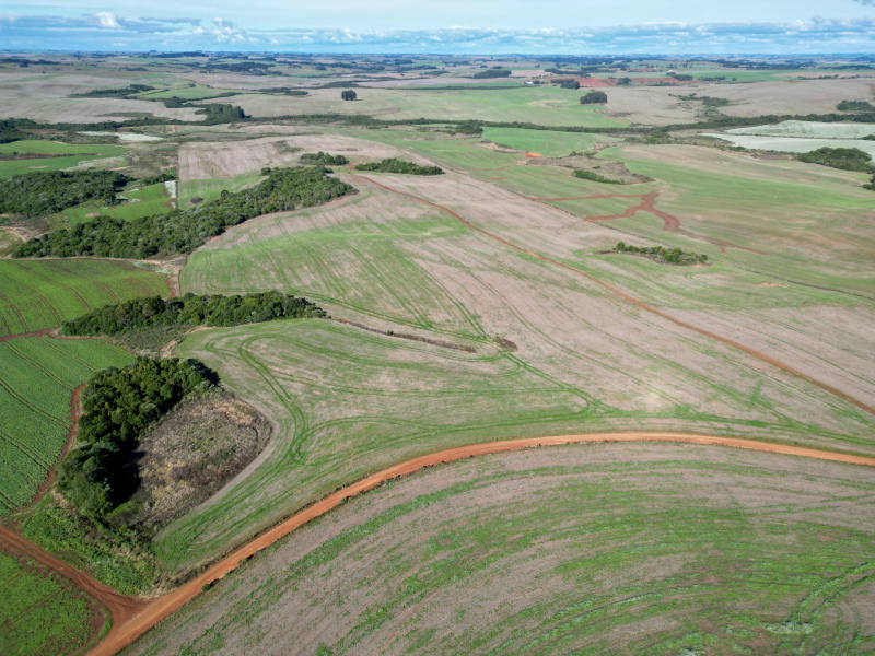 103 Hectares em Muitos Capões