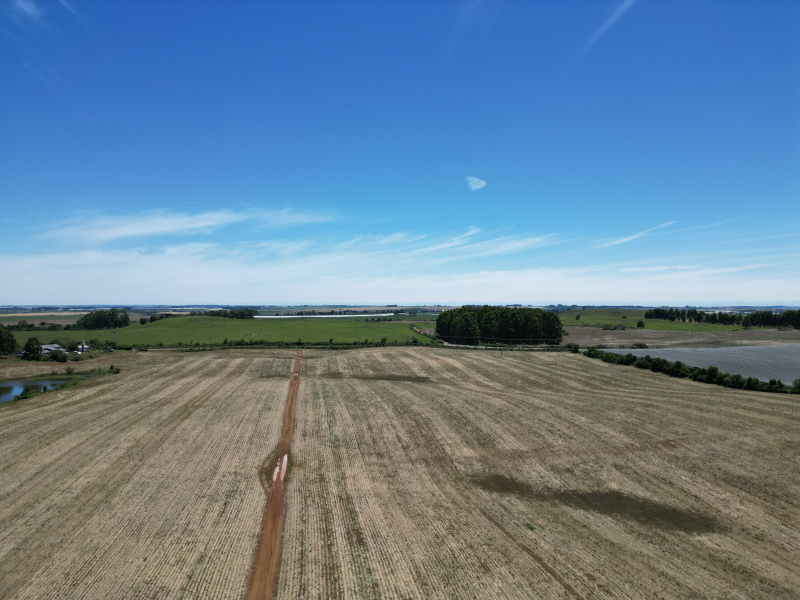 Área com 53 Hectares em Vacaria