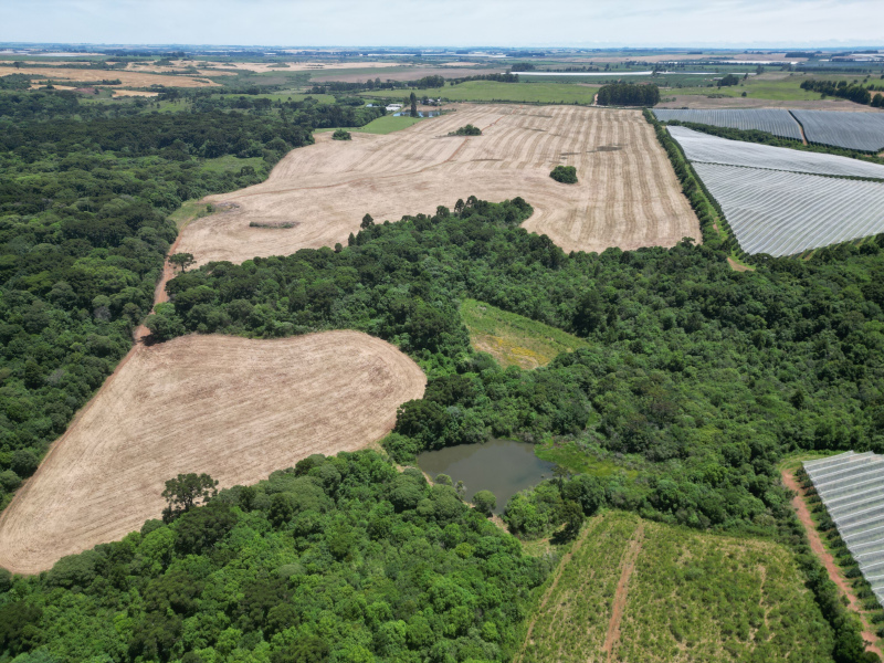 Área com 53 Hectares em Vacaria