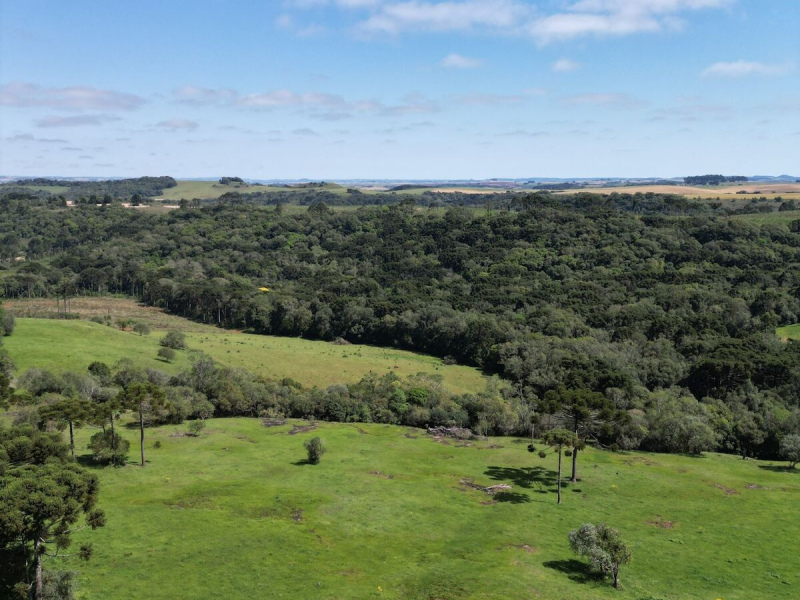 Cabanha com 61 Hectares em Muitos Capões
