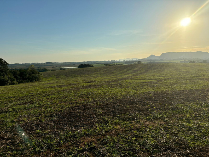 140 Hectares em Glorinha/Rs