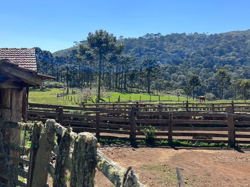 282 Hectares em Bom Jardim da Serra/SC