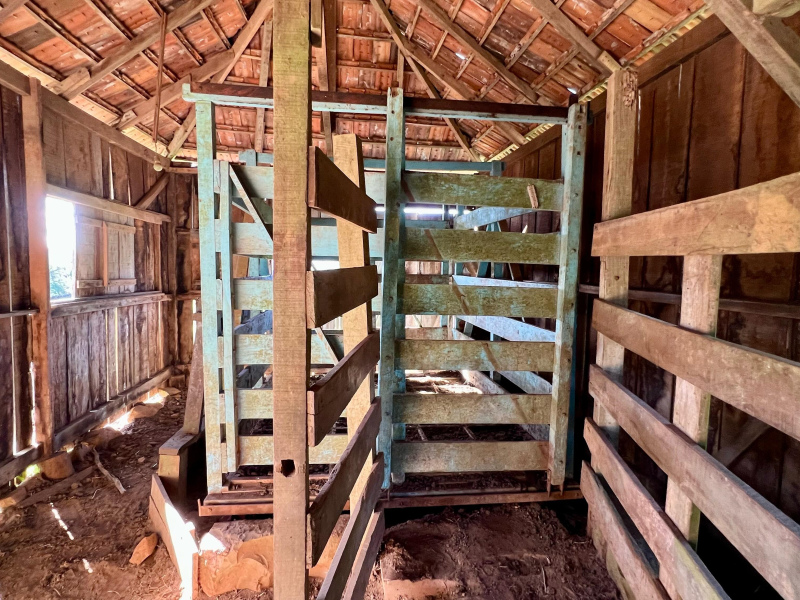 Fazenda com 277 Hectares em São Francisco de Paula