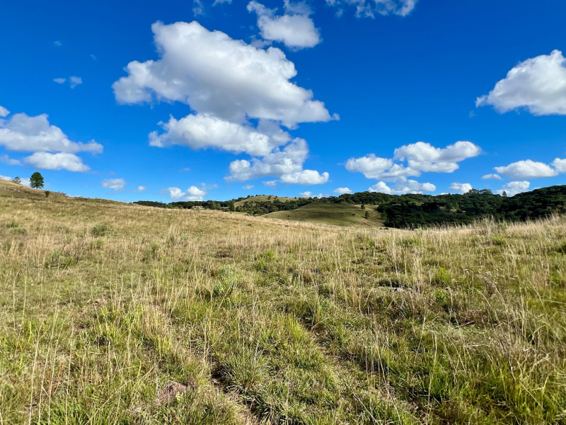 Fazenda com 277 Hectares em São Francisco de Paula