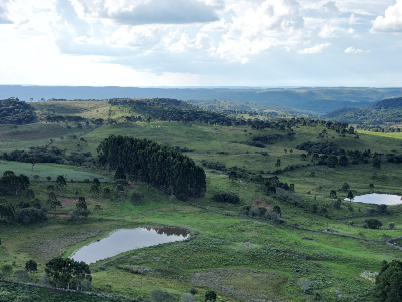 Fazenda com 1.590 Hectares em Santa Catarina
