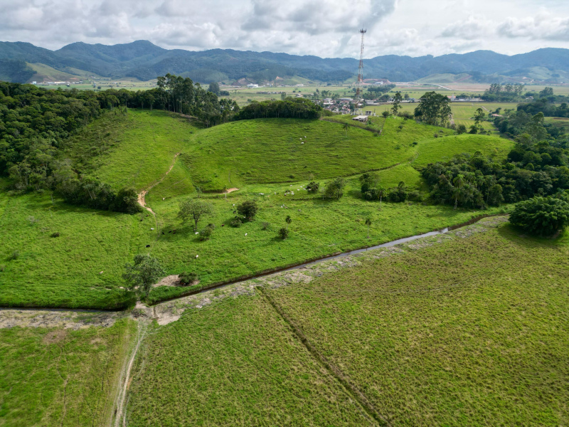 Área de 28 Hectares em Gaspar/SC